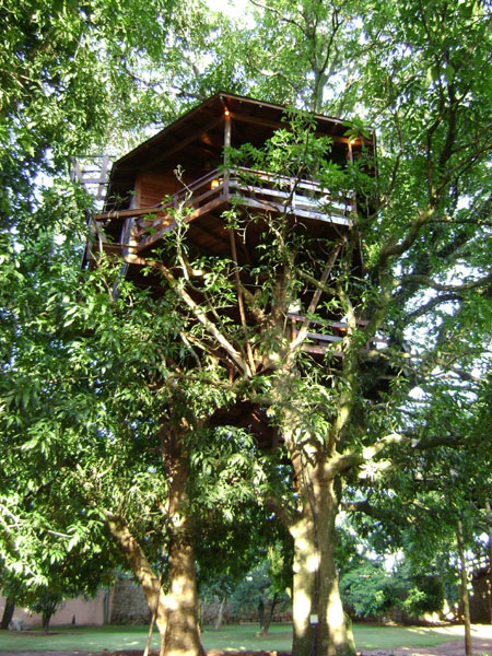 дом на дереве-7